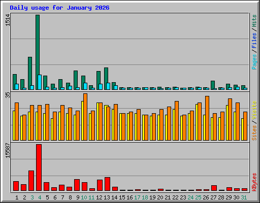 Daily usage for January 2026