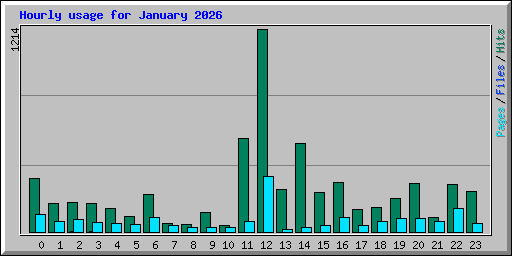 Hourly usage for January 2026